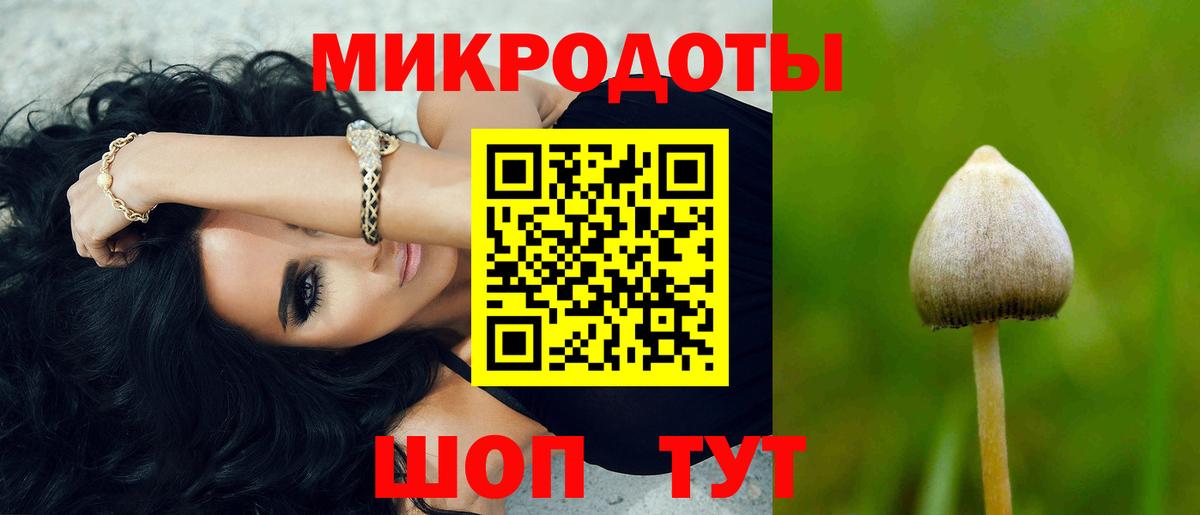 Петропавловск-Камчатский  Псилоцибиновые грибы Psilocybe  Галлюциногенные грибы мицелий  Вход с VPN 